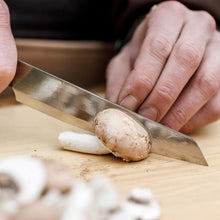 Carica l'immagine nel visualizzatore di Gallery, Petromax ALL-PURPOSE CM 14