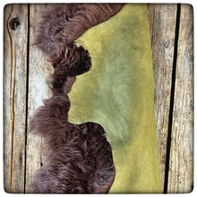 Carica l'immagine nel visualizzatore di Gallery, GENUINE SHEEPSKIN HIDE (Brown)