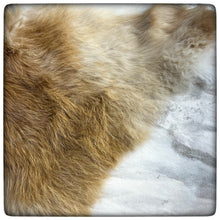 Load image into Gallery viewer, GENUINE RABBIT HIDE (Red & White)