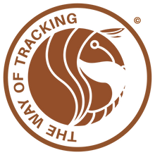 Carica l'immagine nel visualizzatore di Gallery, TTT -  The Trackers Tool BRACELET