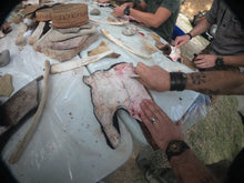 Laden Sie das Bild in den Galerie-Viewer, CORSO DI PRIMITIVE BUSHCRAFT