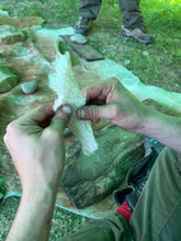 Laden Sie das Bild in den Galerie-Viewer, CORSO DI PRIMITIVE BUSHCRAFT