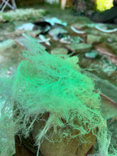 Laden Sie das Bild in den Galerie-Viewer, CORSO DI PRIMITIVE BUSHCRAFT