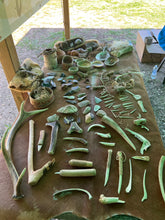 Laden Sie das Bild in den Galerie-Viewer, CORSO DI PRIMITIVE BUSHCRAFT