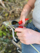 Laden Sie das Bild in den Galerie-Viewer, CORSO DI CESTERIA &amp; INTRECCIO