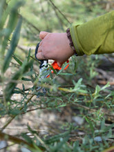 Laden Sie das Bild in den Galerie-Viewer, CORSO DI CESTERIA &amp; INTRECCIO