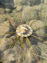 Laden Sie das Bild in den Galerie-Viewer, CORSO DI CESTERIA &amp; INTRECCIO