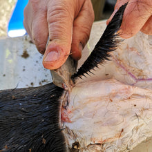 Laden Sie das Bild in den Galerie-Viewer, CORSO DI PRIMITIVE BUSHCRAFT