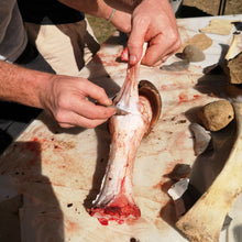 Laden Sie das Bild in den Galerie-Viewer, CORSO DI PRIMITIVE BUSHCRAFT