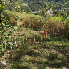 Laden Sie das Bild in den Galerie-Viewer, CORSO DI PRIMITIVE BUSHCRAFT