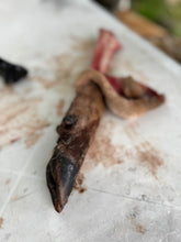 Laden Sie das Bild in den Galerie-Viewer, CORSO DI PRIMITIVE BUSHCRAFT