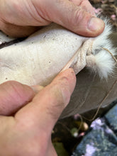 Laden Sie das Bild in den Galerie-Viewer, CORSO DI PRIMITIVE BUSHCRAFT