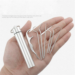 PORTABLE STAINLESS STEEL METAL TOOTHPICK SET
